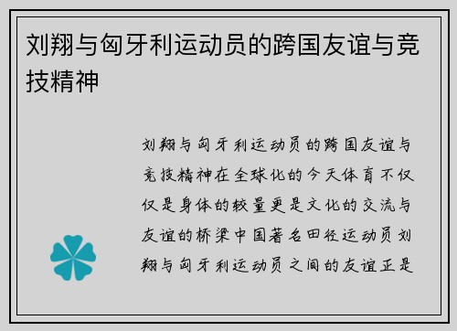 刘翔与匈牙利运动员的跨国友谊与竞技精神